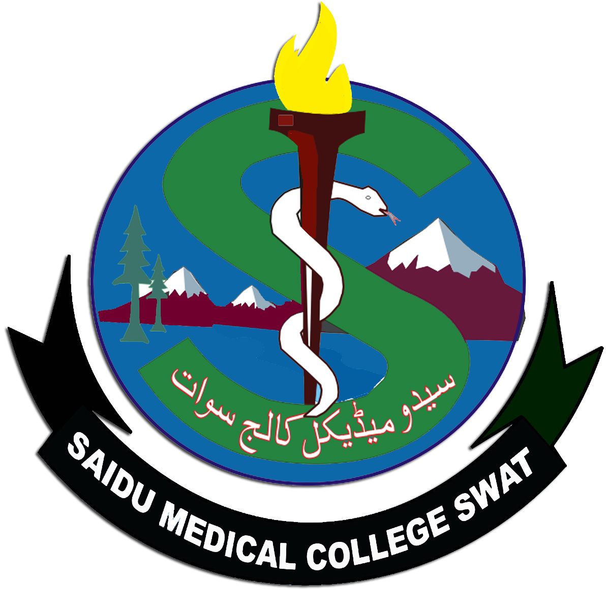 Saidu Medical College, Swat